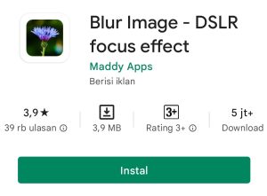 Blur Image - DSLR Focus Effect