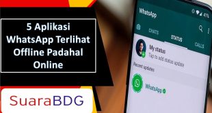 Aplikasi WhatsApp Terlihat Offline Padahal Online