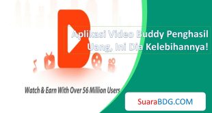 Aplikasi Video Buddy Penghasil Uang